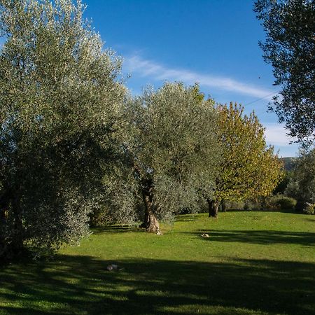 La Sassaia Villa Carmignano Exterior photo